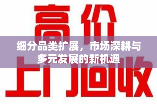 济南细分品类扩展，市场深耕与多元发展的新机遇