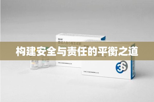 济南构建安全与责任的平衡之道
