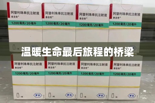 济南温暖生命最后旅程的桥梁