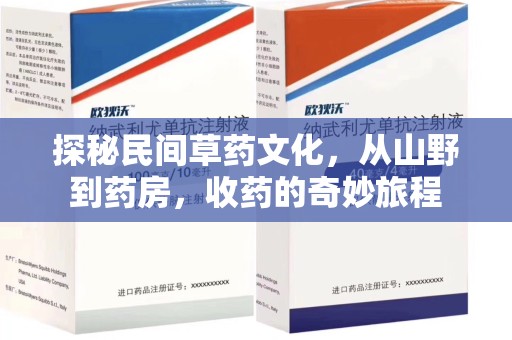 济南探秘民间草药文化，从山野到药房，收药的奇妙旅程