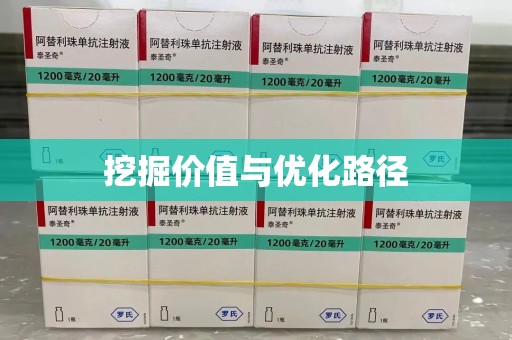 济南挖掘价值与优化路径